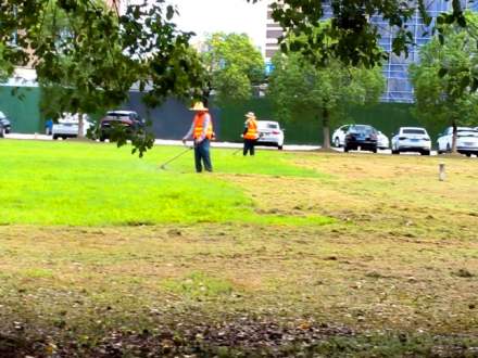 廠區(qū)綠化養(yǎng)護